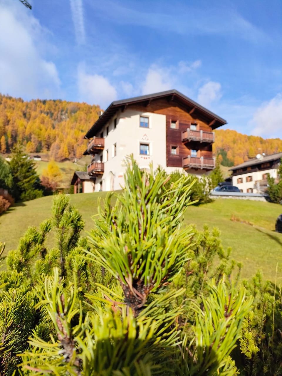Natural landscape, Garden, Garden view