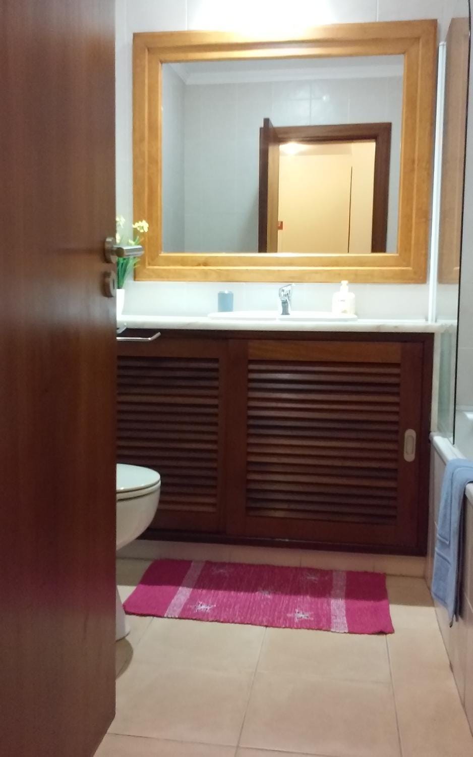 Salgados Village T1 Apartment in Guia