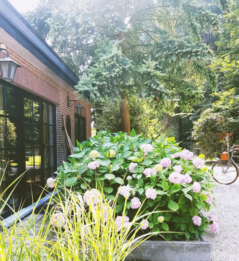 Patio, Facade/entrance, Garden, Balcony/Terrace