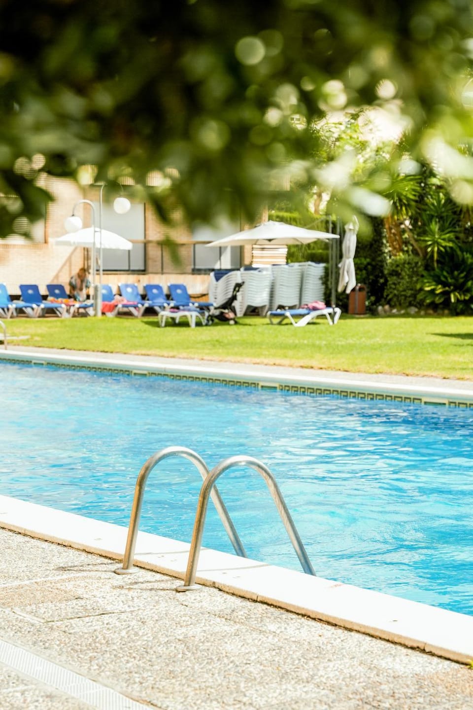 Garden, Solarium, Decorative detail, Swimming pool, sunbed