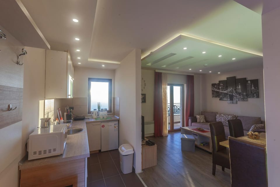 Day, Winter, Balcony/Terrace, Kitchen or kitchenette, Living room, Decorative detail, Dining area, On site, Mountain view