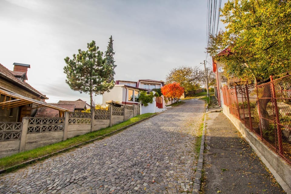 Property building, Neighbourhood, Street view