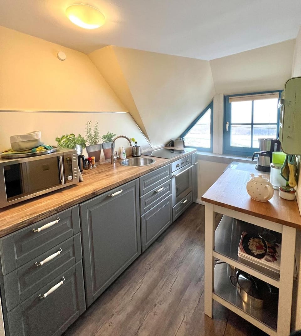 Coffee/tea facilities, Kitchen or kitchenette, pet friendly, stove