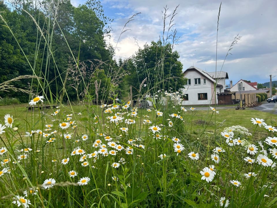 Hotýlek u Kance Bed and Breakfast in Lower Silesian Voivodeship