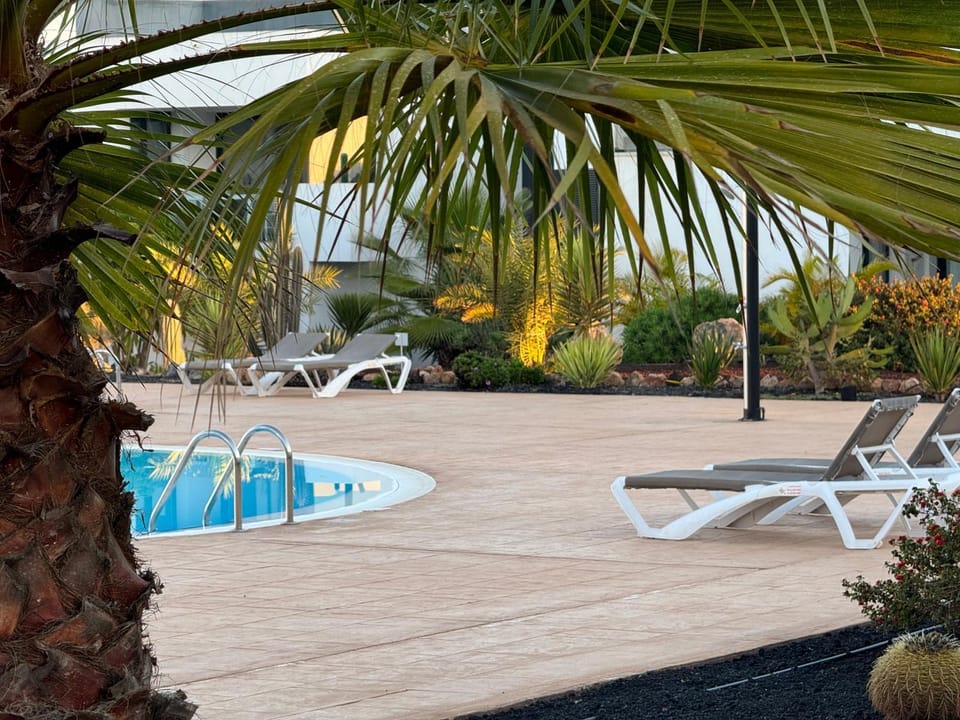 Garden, Garden view, Pool view, Swimming pool, sunbed