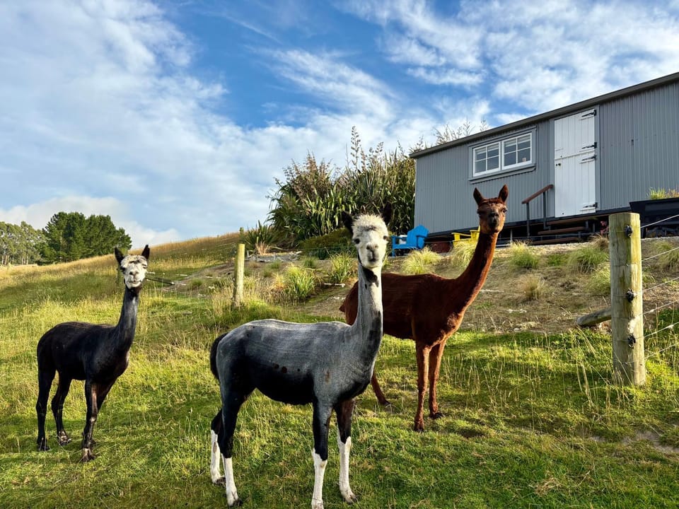 The Shepherd's Rest Luxury tent in Otago