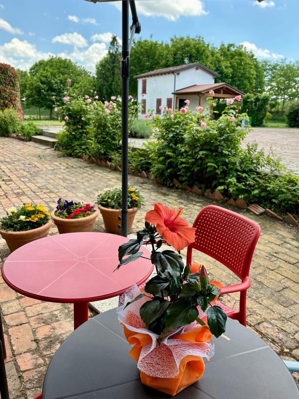 Property building, Garden