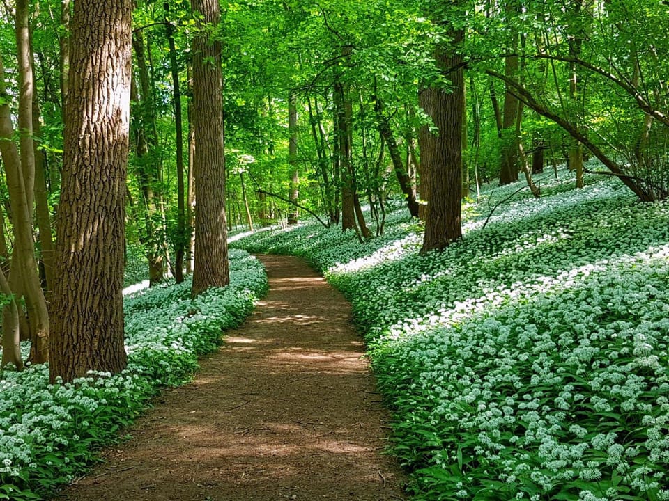 Day, Natural landscape
