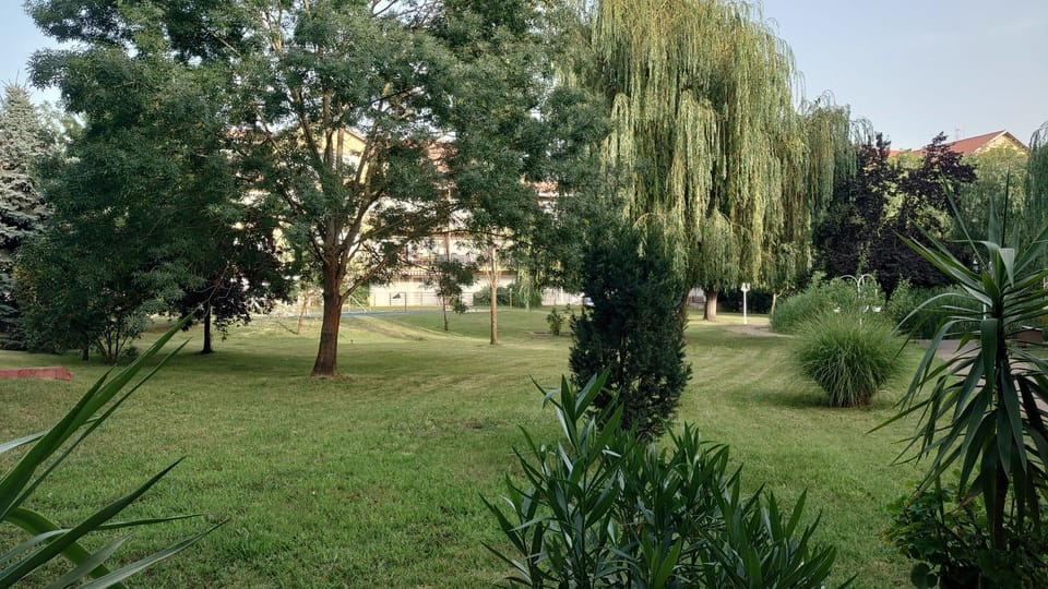 Natural landscape, Garden
