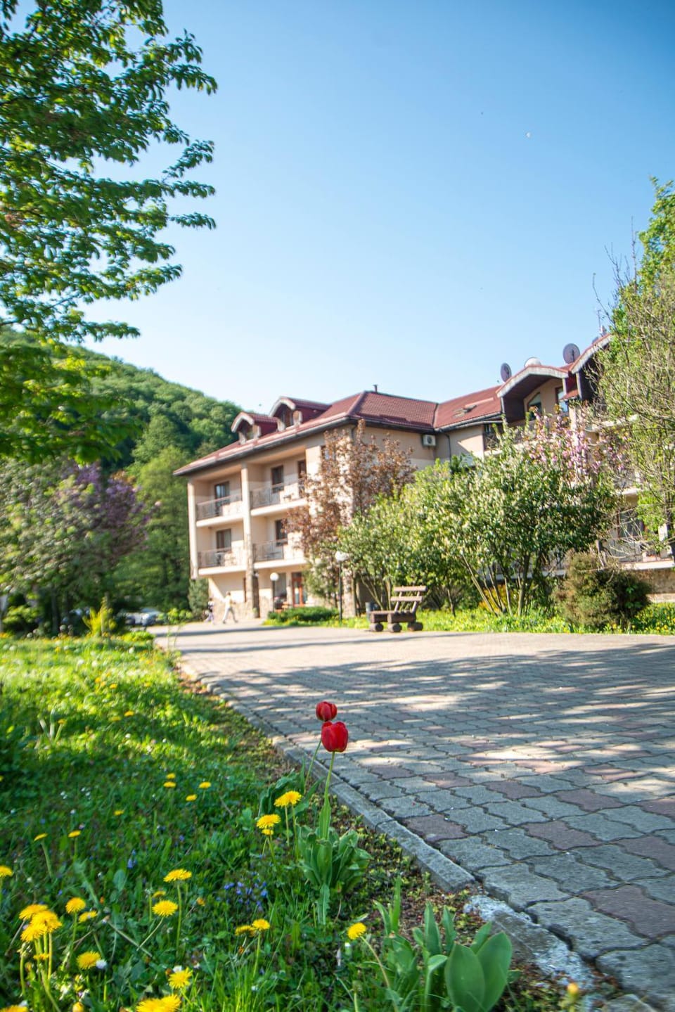 Property building, Spring, Natural landscape