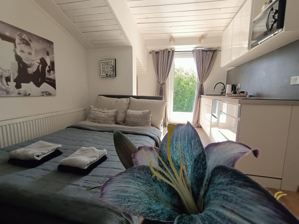 Royal EvitaBocelli Spodek by walk self check - in Apartment in Poland