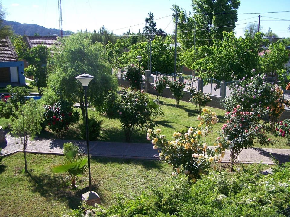 Day, Garden view