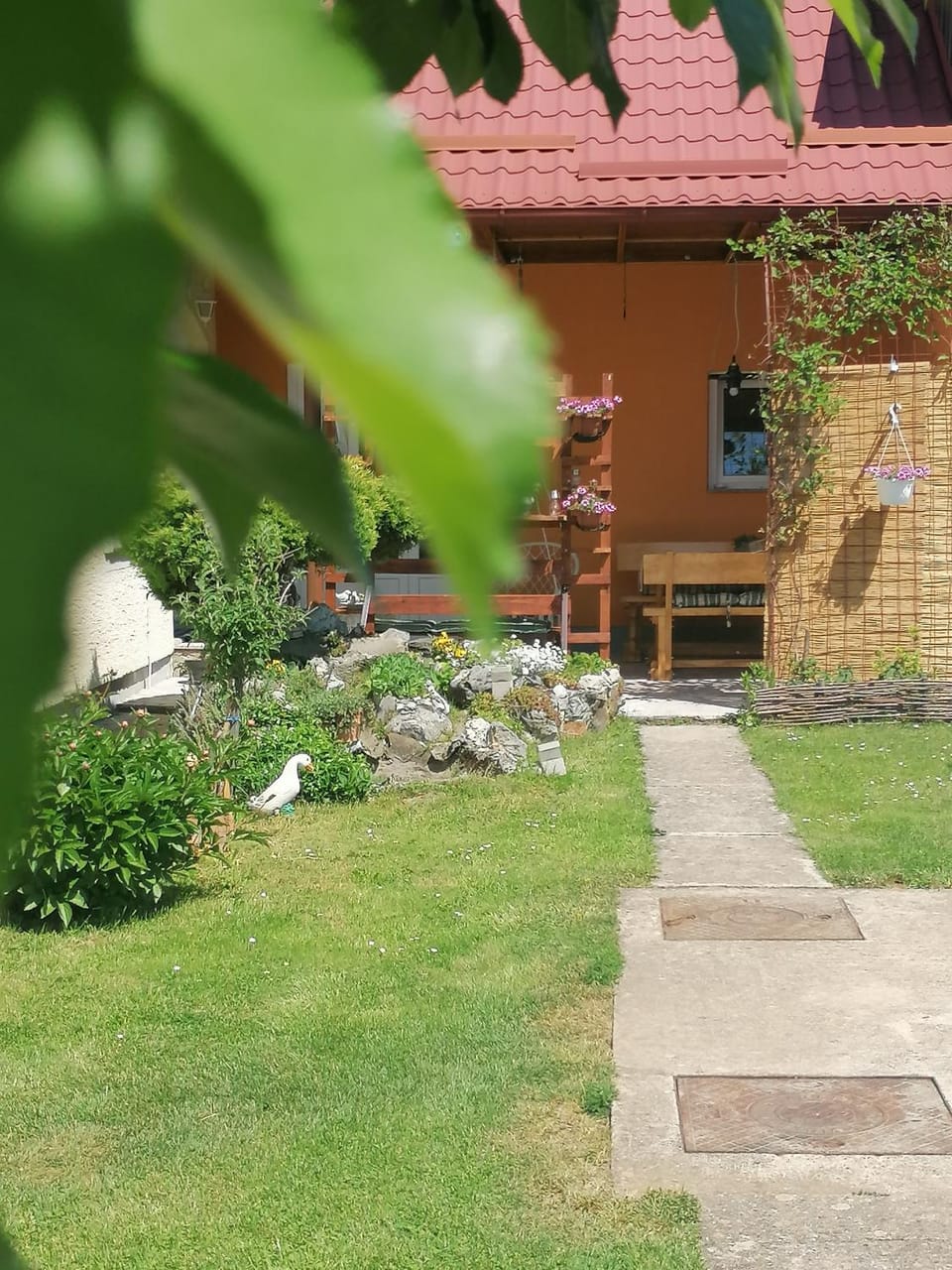 Patio, Garden