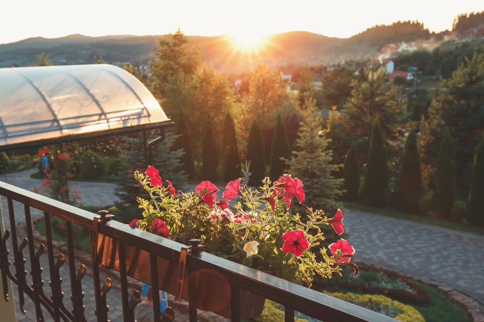 Mountain view