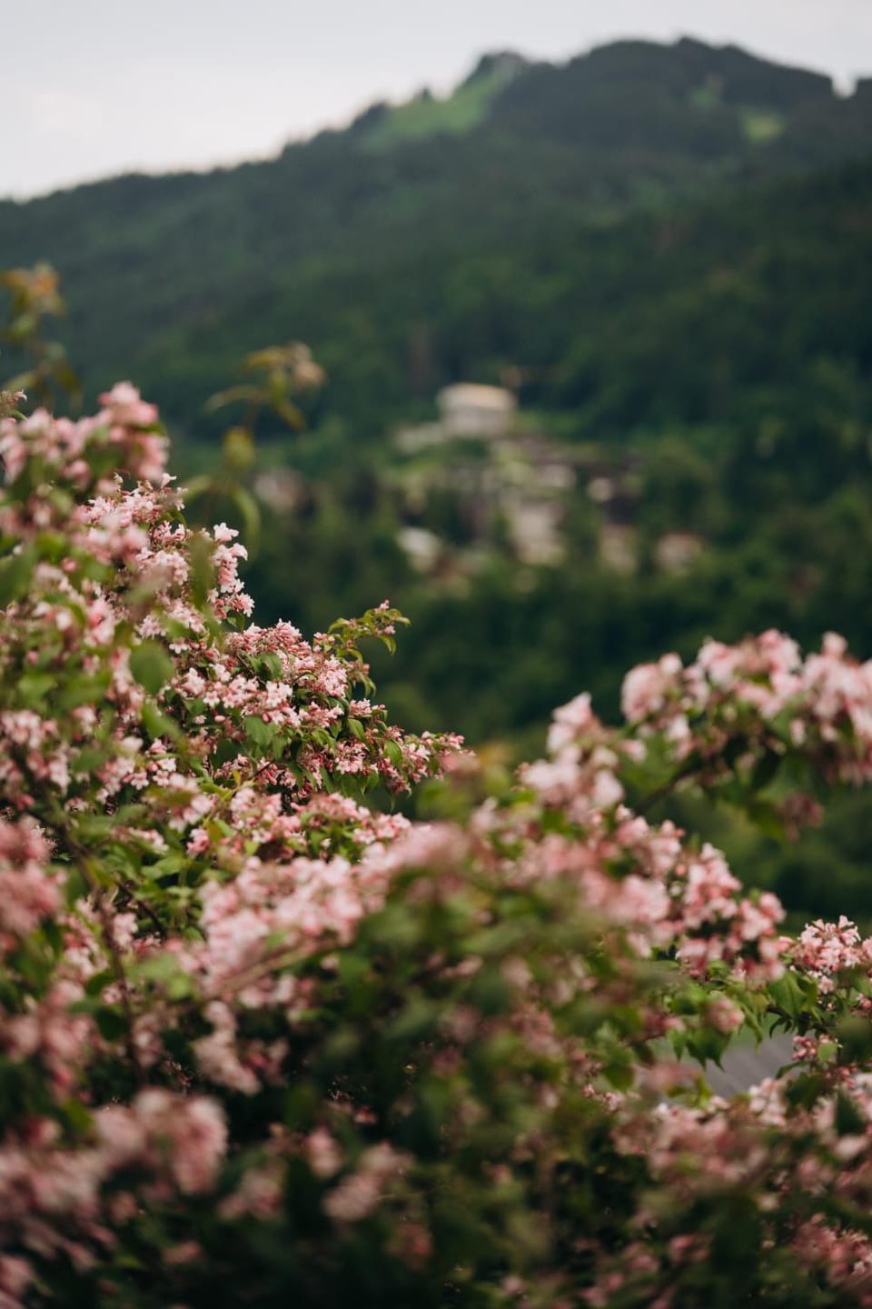 Micro-lodge, Le Petit Nid d'Amour Chalet in Montriond