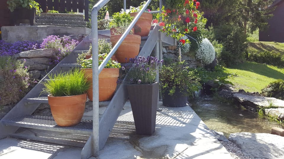 Garden, Balcony/Terrace, Mountain view