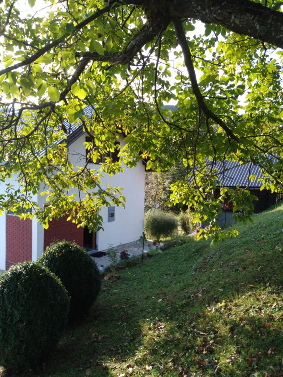 Day, Garden, Garden view