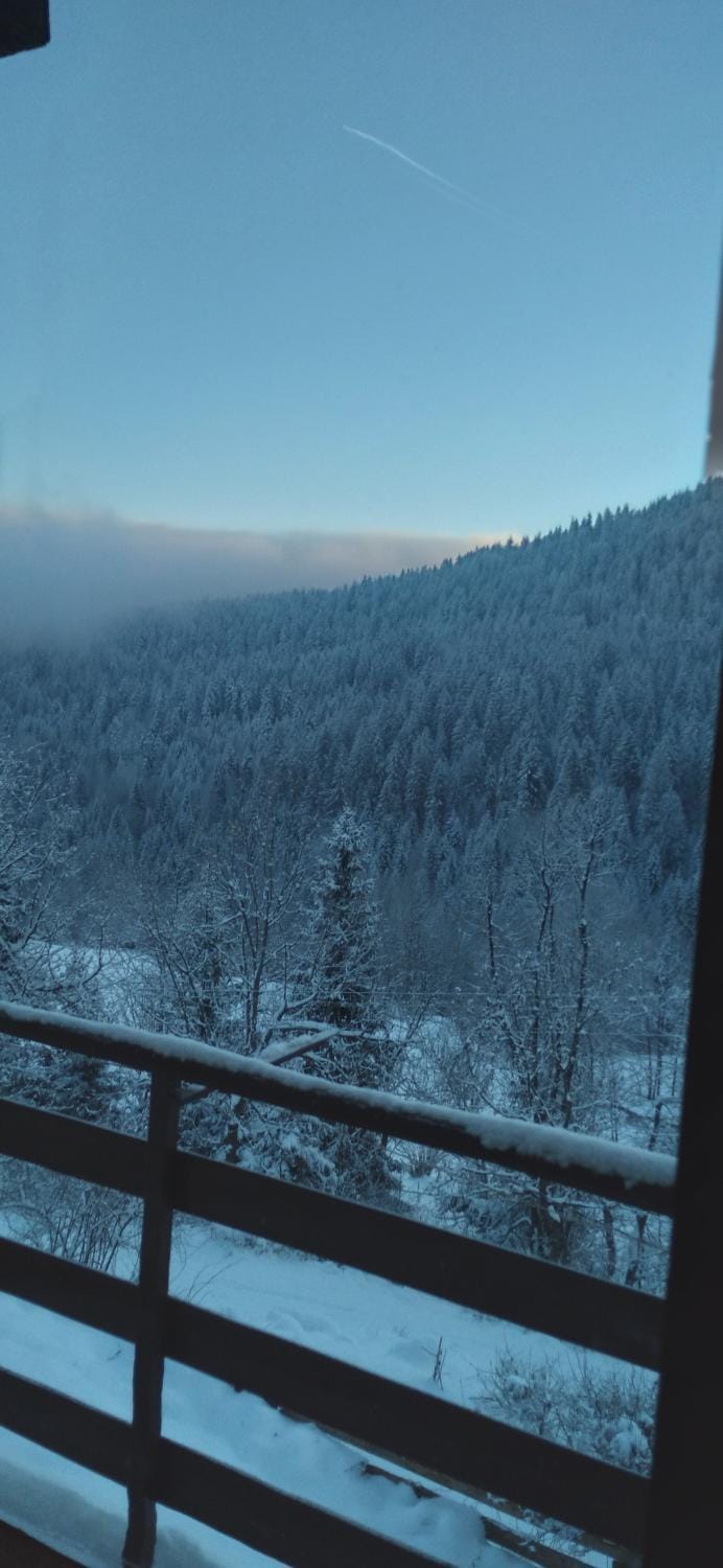 Winter, Mountain view
