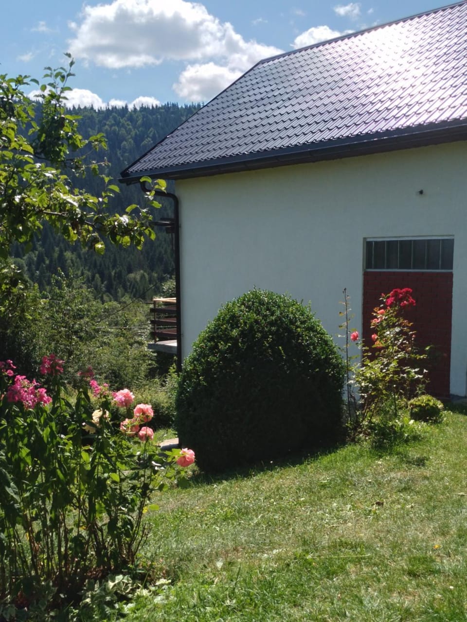 Day, Garden, Garden view