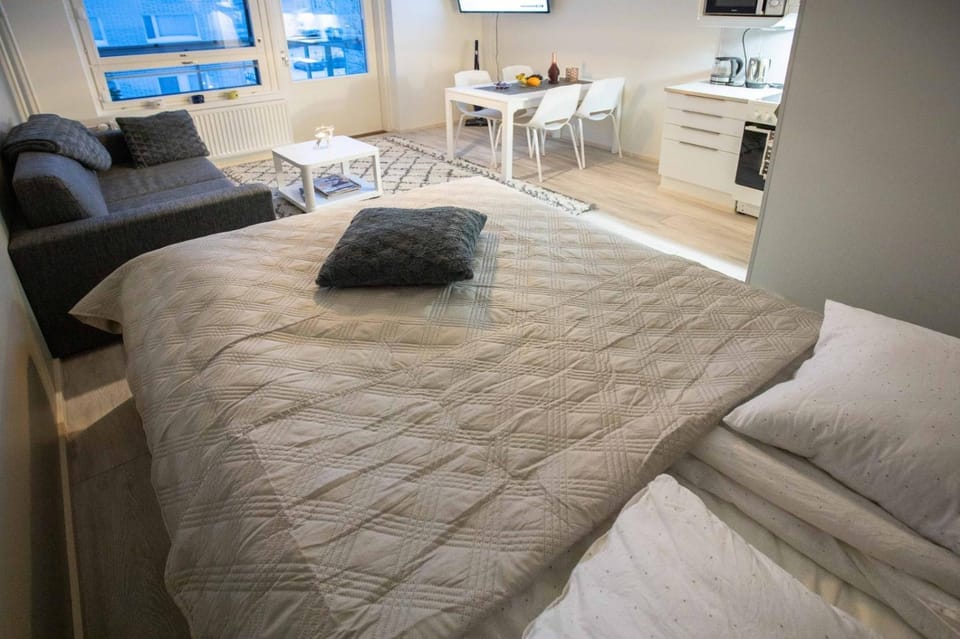 Bed, Living room, Photo of the whole room, Bedroom