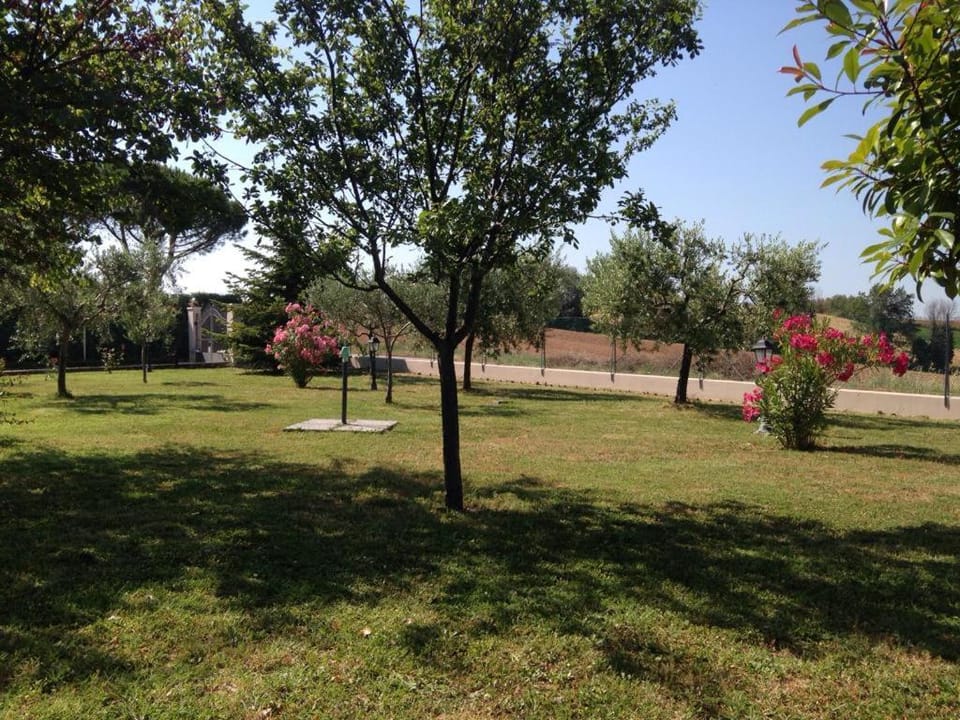 Garden, Garden view