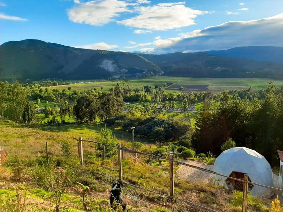 Glamping NIDO VERDE Luxury tent in Boyaca