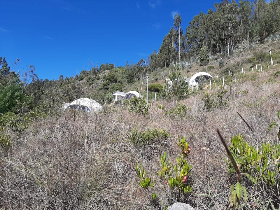 Glamping NIDO VERDE Luxury tent in Boyaca
