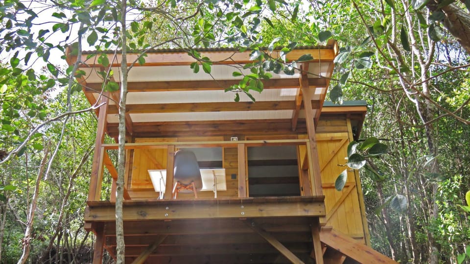 Balcony/Terrace, Balcony/Terrace