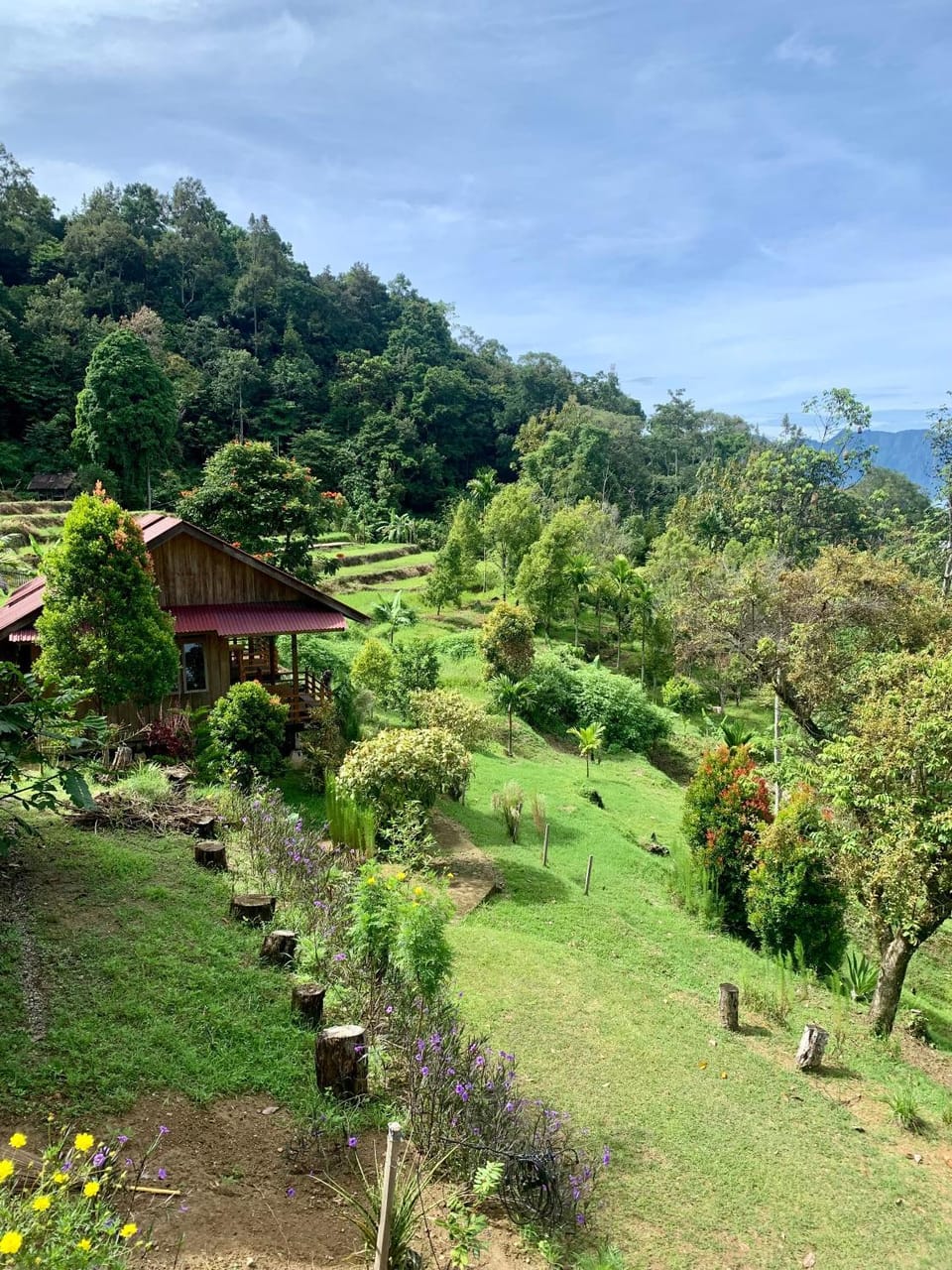 View (from property/room)