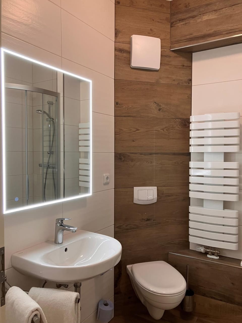 Shower, Toilet, Bathroom, towels