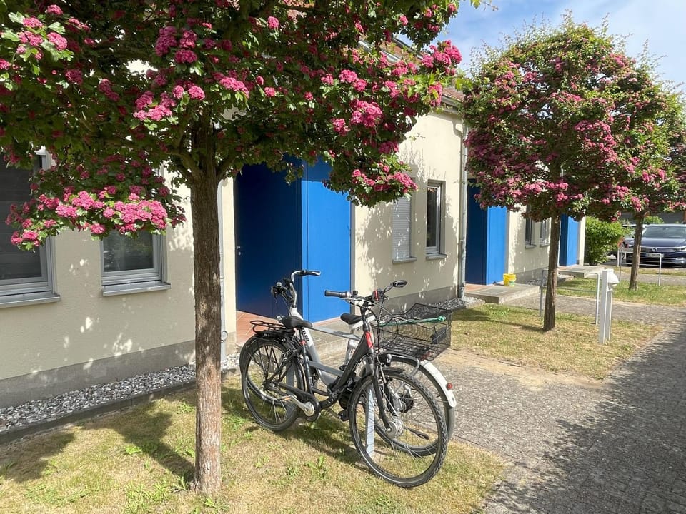 Cycling