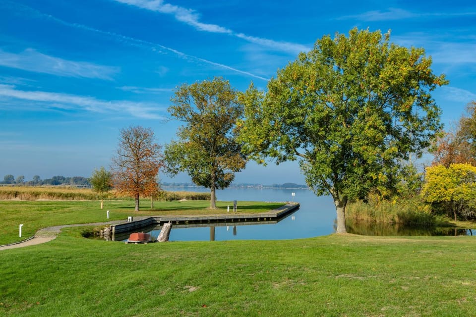 Natural landscape, Garden view