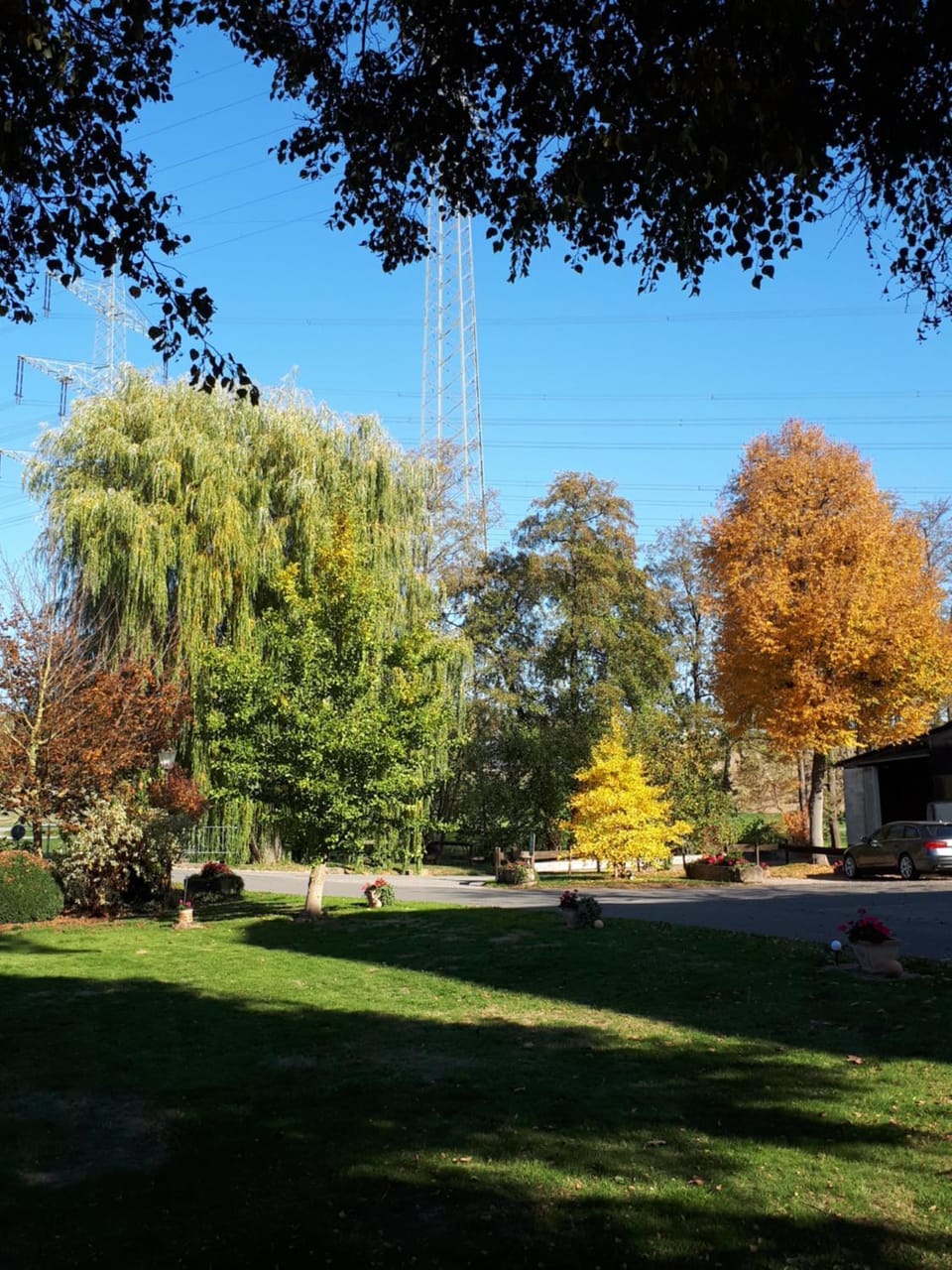 Garden view