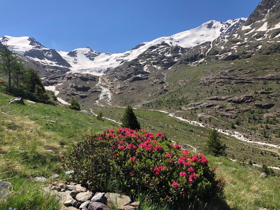 Alpine Chalet Chalet in Trentino-South Tyrol