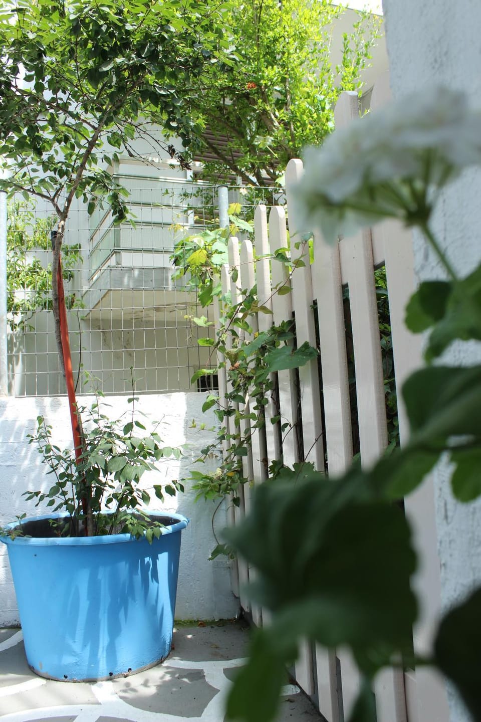 House Alexandros Apartment in Thasos