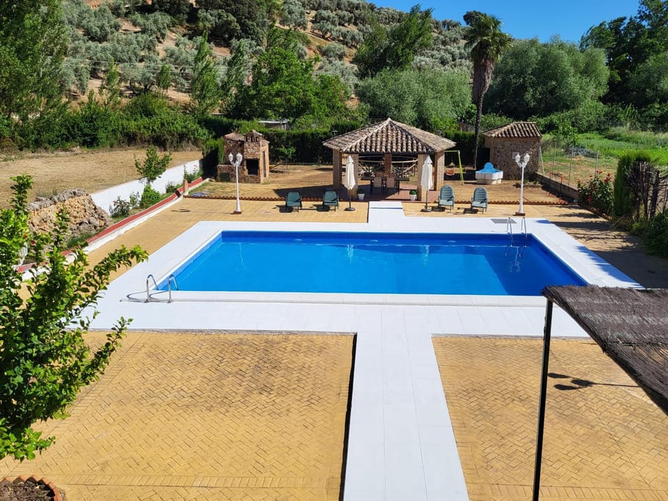 Pool view, Swimming pool