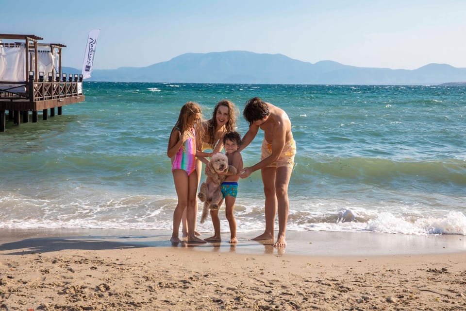 Animals, Animals, pet friendly