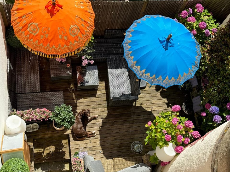 Patio, Balcony/Terrace, sunbed