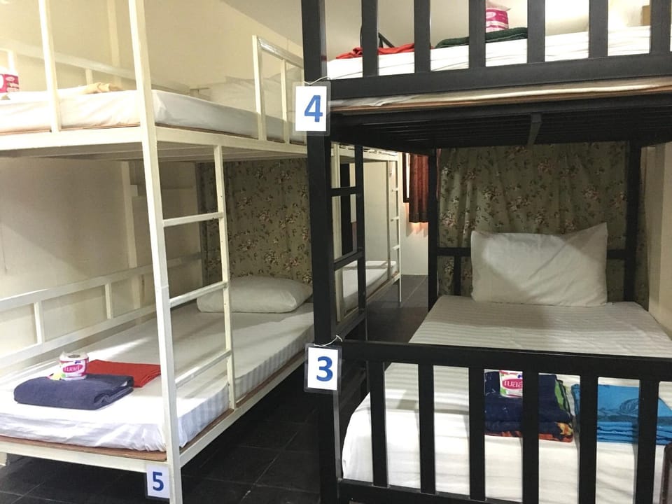 bunk bed