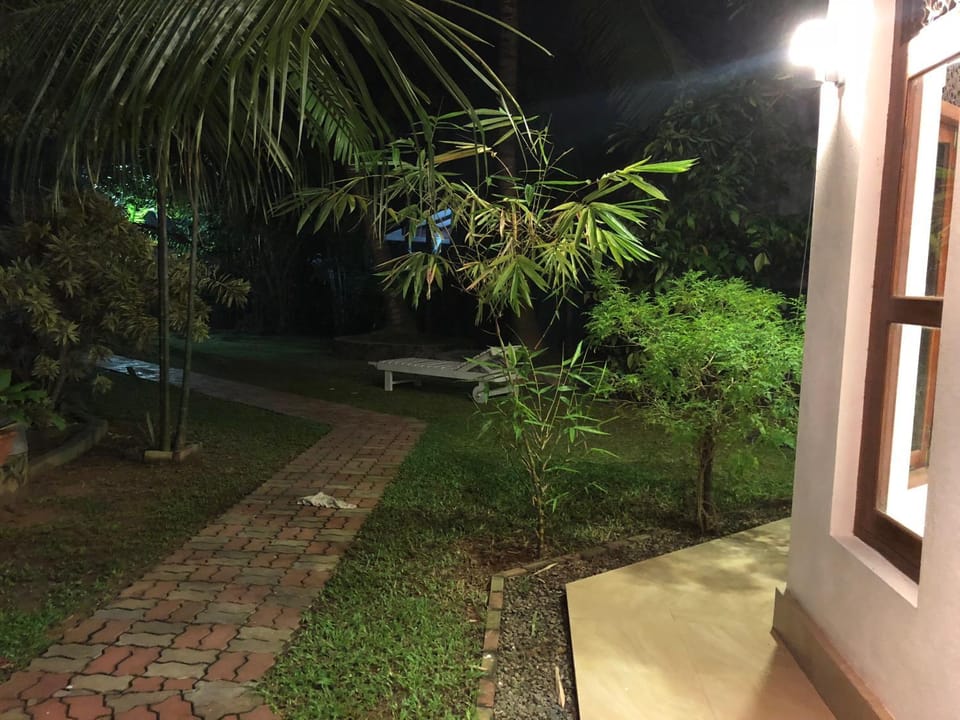 Night, Garden