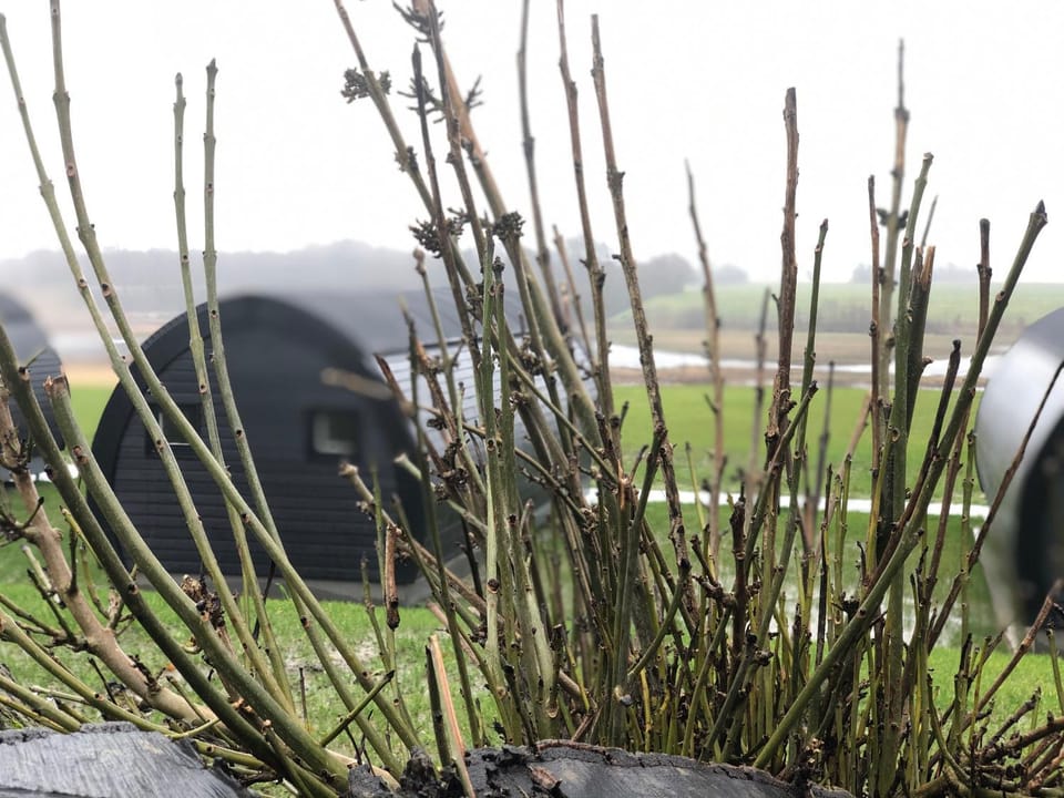 Natural landscape, Sunrise