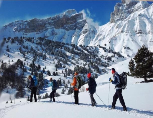 Winter, Skiing, Mountain view, group of guests