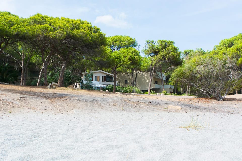 Property building, Beach, Garden view