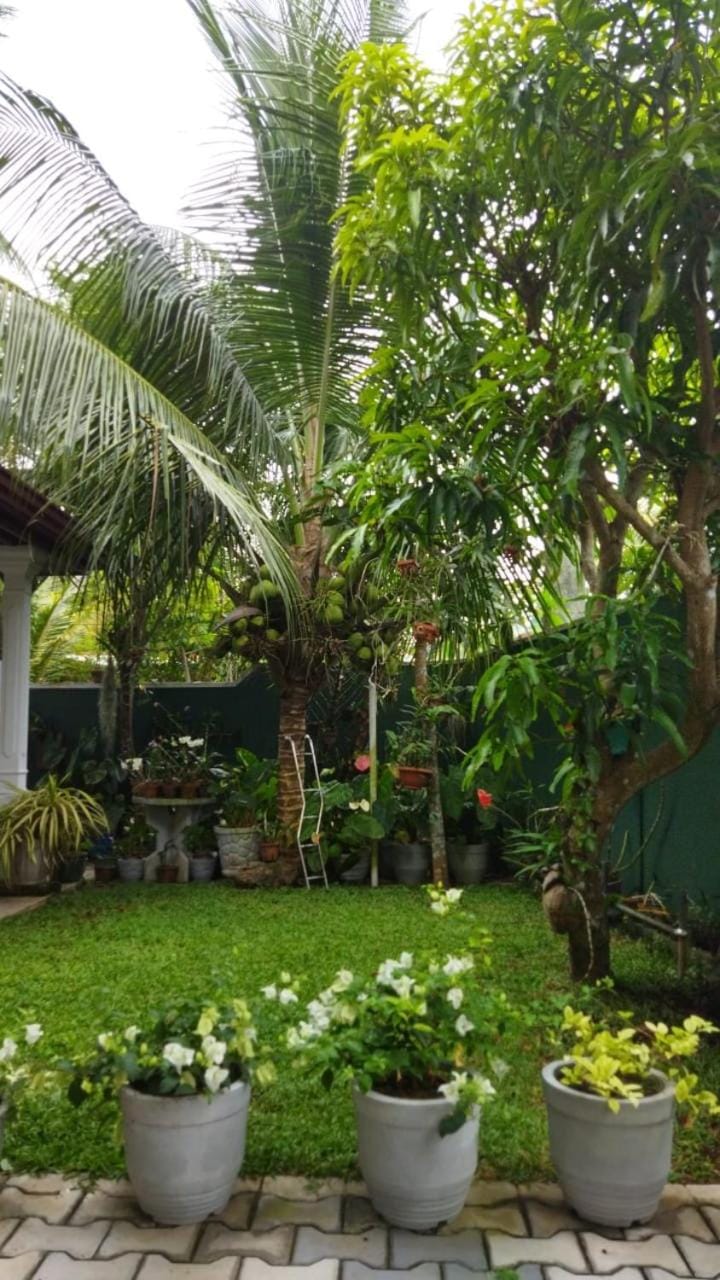 Garden, Garden view