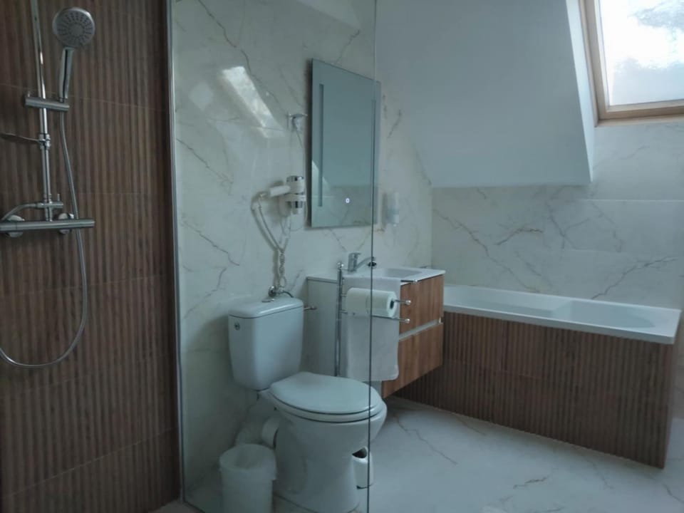 Pensiunea Korona Bed and Breakfast in Romania