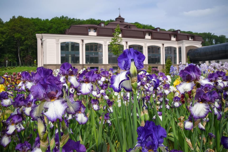 Hotel Irys by Derenivska Kupil Hotel in Ukraine