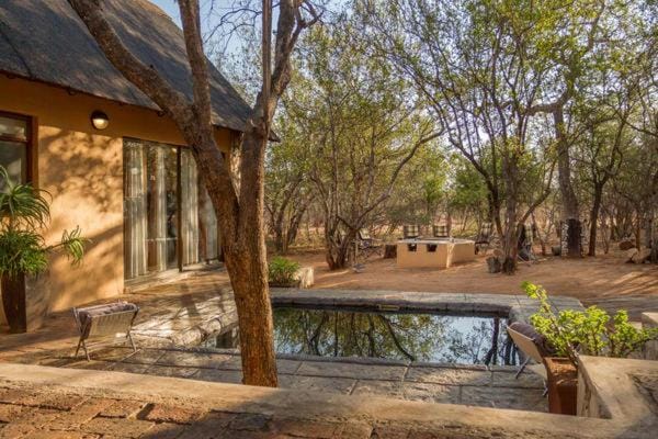 Property building, Patio, Swimming pool