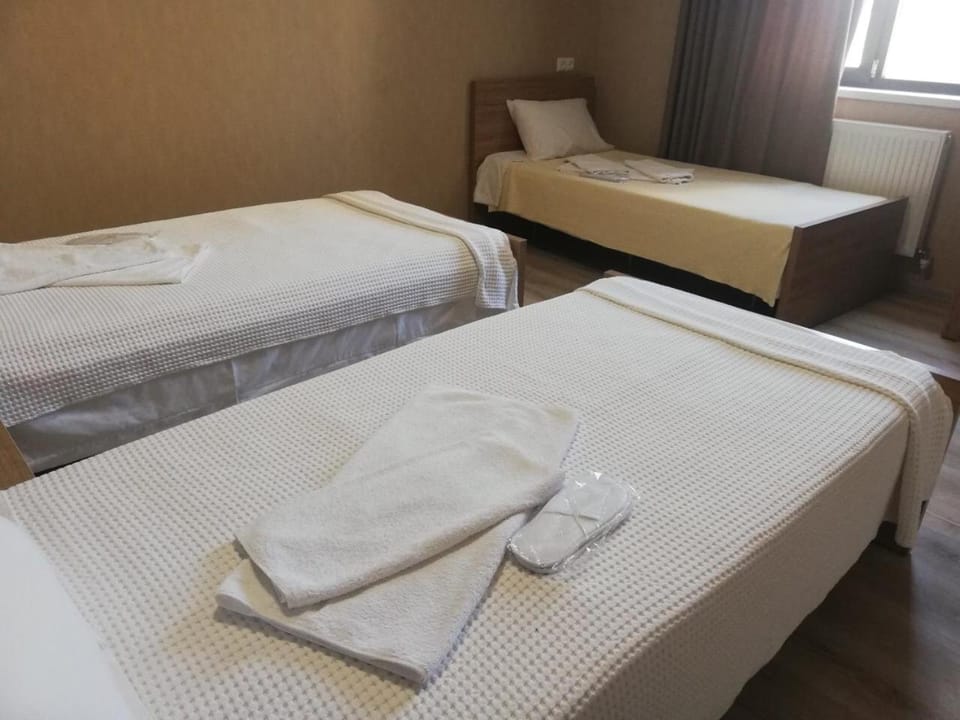 mtredebi Hotel in Georgia