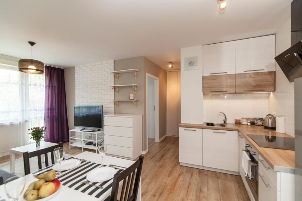 Apartament 24 ul.Proletariacka 2A centrum Apartment in Poland
