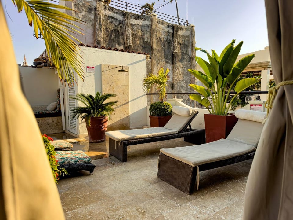 Patio, sunbed